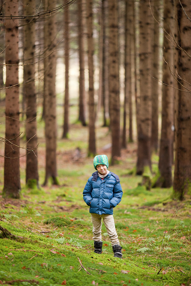 Porträt – natürliches Foto im Wald.