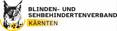 BSVK Blinden- und Sehbehindertenverband Kärnten Logo, Link zur Unternehmensseite – Businessfotografie und Video-Content von Der mobile Fotograf & Videograf aus Villach in Kärnten.